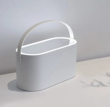LED Light Storage Box Beauty And Makeup Mirror